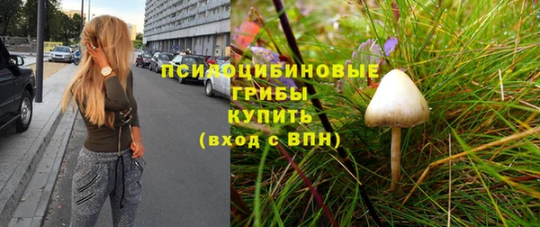 крисы Няндома