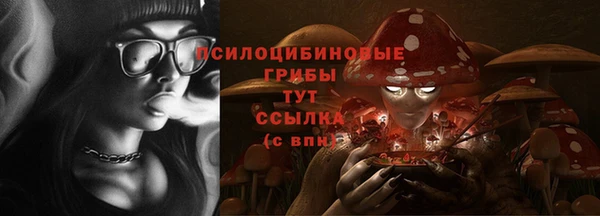 крисы Няндома