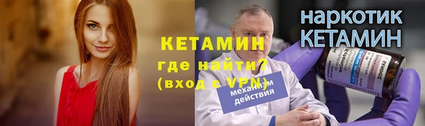крисы Няндома