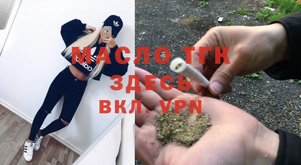 крисы Няндома