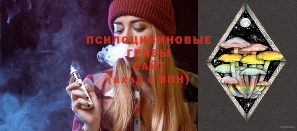 МДПВ Нязепетровск