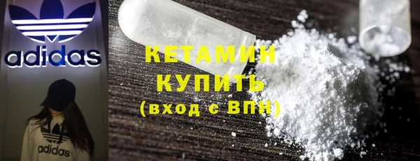 крисы Няндома