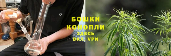 крисы Няндома